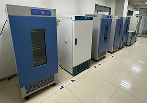 Shijiazhuang Huaxu Pharmaceutical Co.,Ltd